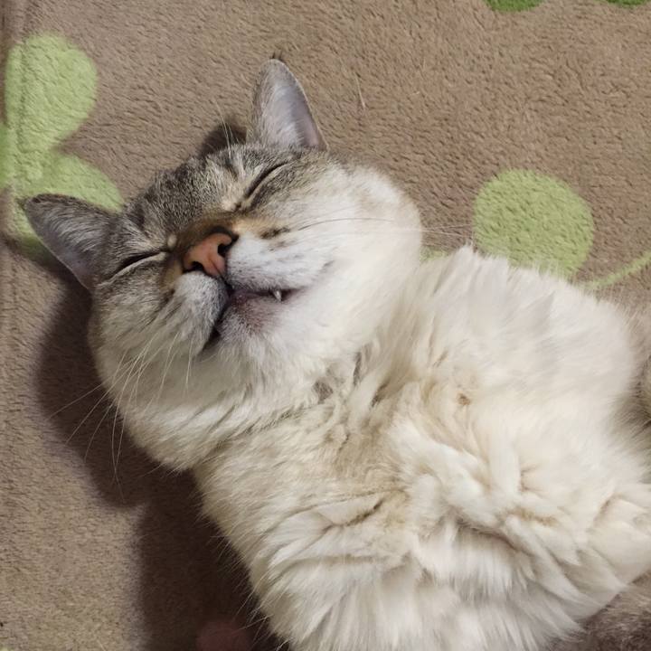 7810ab08 5406 42bd bbdd da993ceb5489 1551872531667