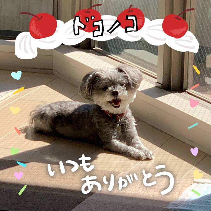 7810c1cf 2bbb 4939 a0e2 08c4646915bc 1685955982831