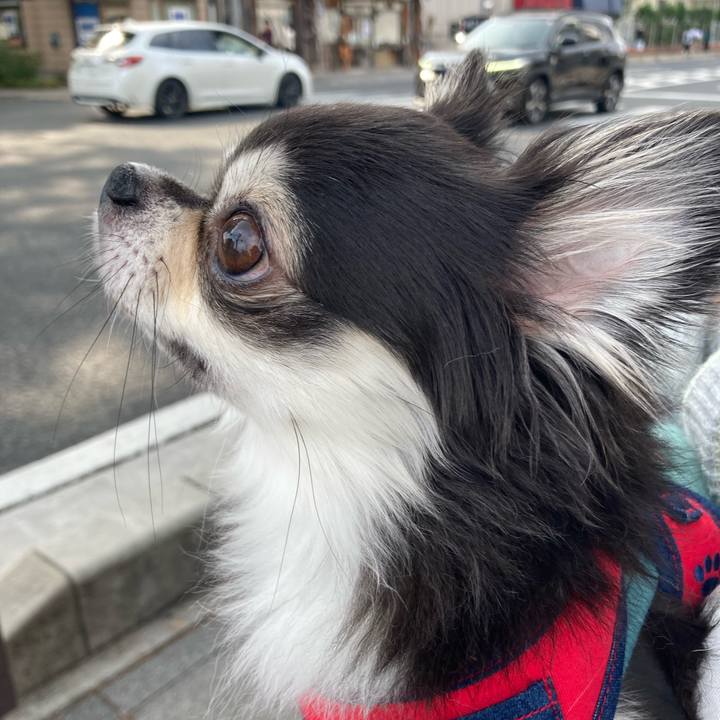 7810d722 2244 466d a7dc 795086929466 1699182200937