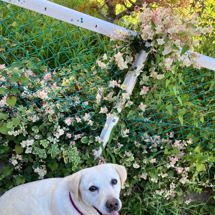 7810e2f1 c8a3 451a b646 0584b8626dbf 1693012380156