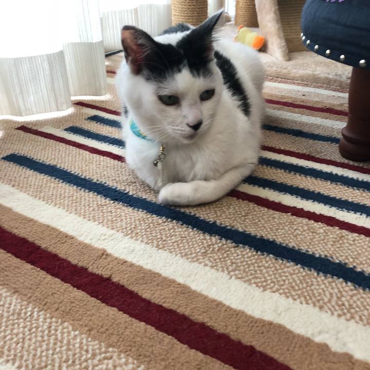 7810ee1d 4039 4508 bcca ea653849ed9b 1538695392918