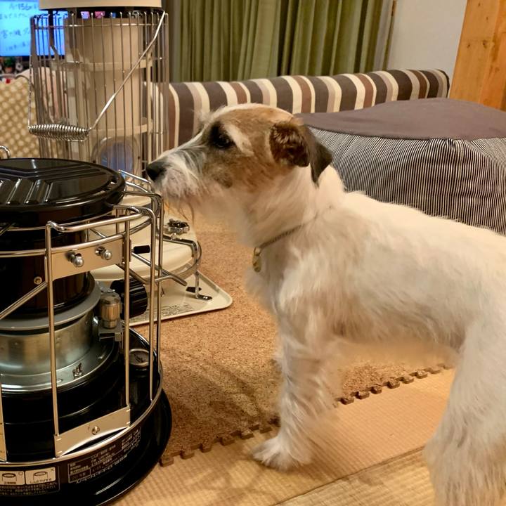 78111454 4375 4307 a41f 01c077ba9290 1606564103513