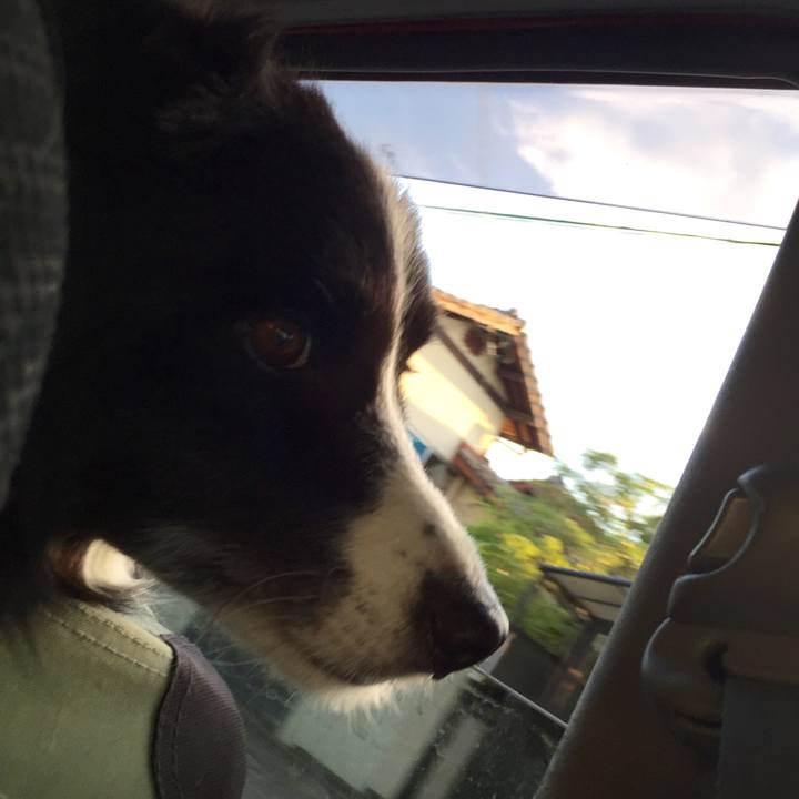 7811385e 2f0b 4533 a8af d787bc967f6d 1532172523200