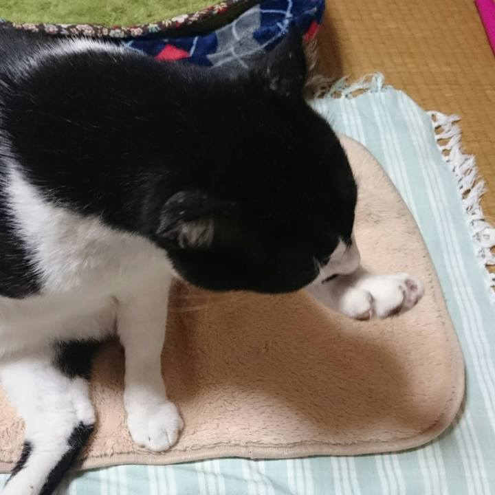 78114809 b72f 4f72 aa39 50aac36527eb 1508757144888