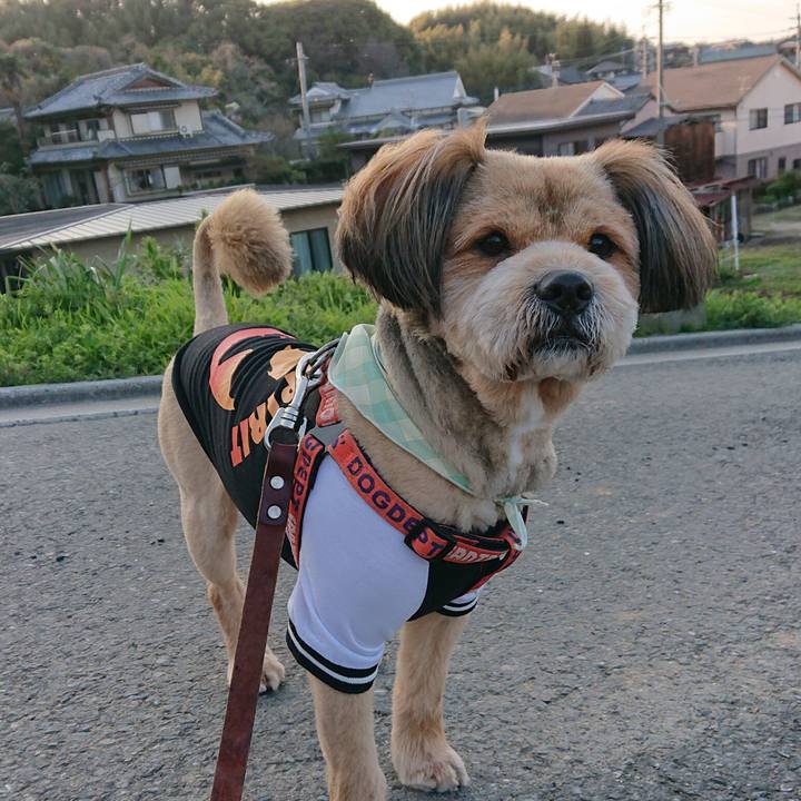 78114c01 9888 4001 a4ac 4b6b79a1e1b4 1552297808106