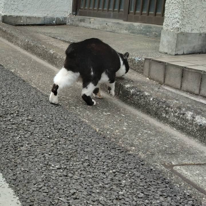 7811546c dc93 4fdd 8fd2 041d186dbf16 1705650295215