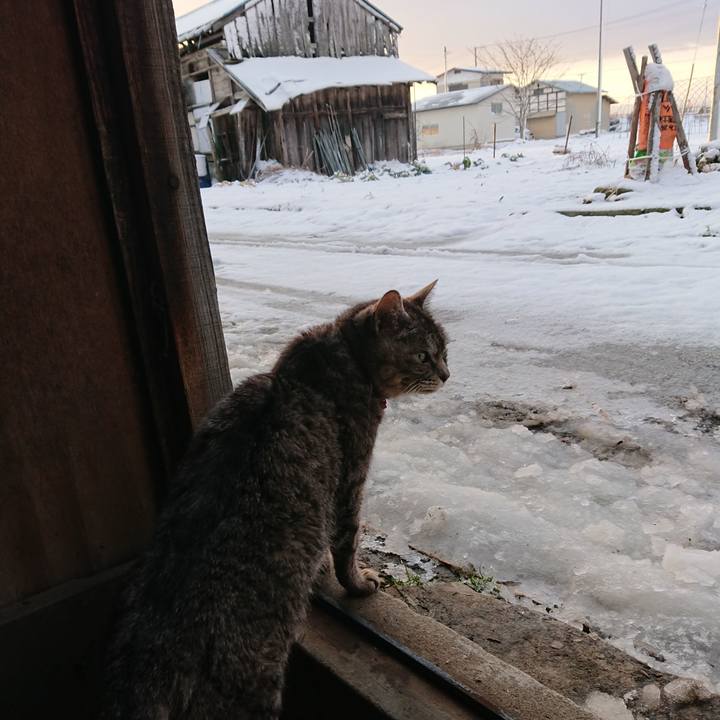 78115638 51e7 455d b121 22028dd997d0 1582495357701