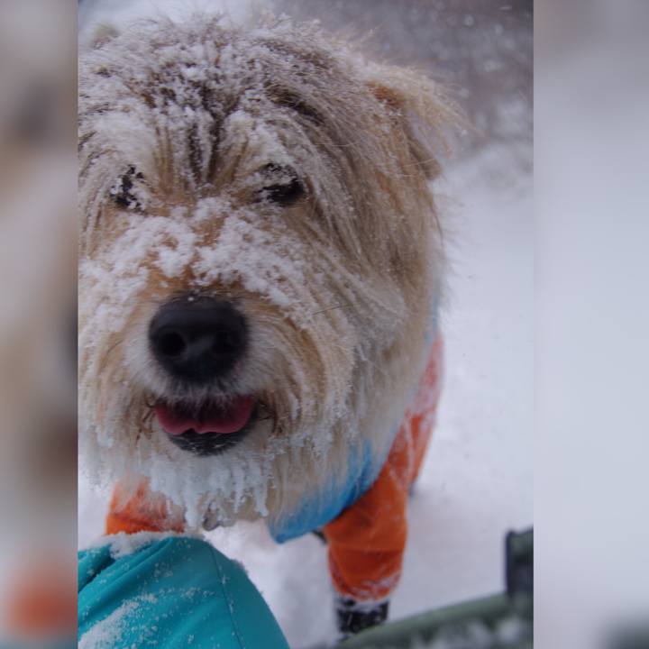 78116d03 48c1 41c5 9ce8 80f535f55000 1646744246900