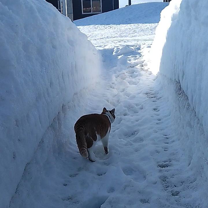 78117c5d 3d34 4436 8c6d bc4839069506 1771370690916