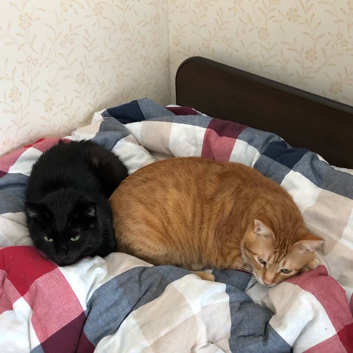 78121974 7b5a 4af9 b129 e48f7d89d5cc 1575077519254