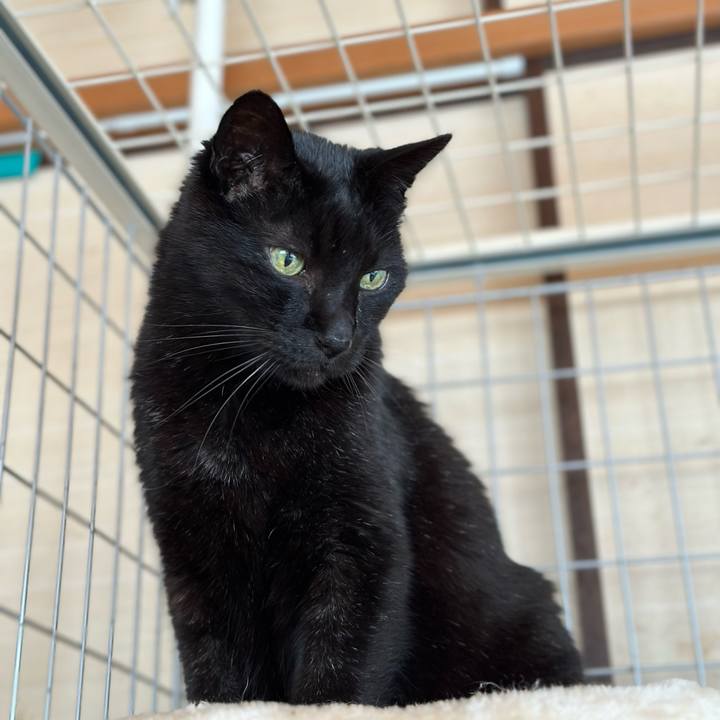 7812800a 2ff5 4de9 836e 41731183c73c 1681092213914