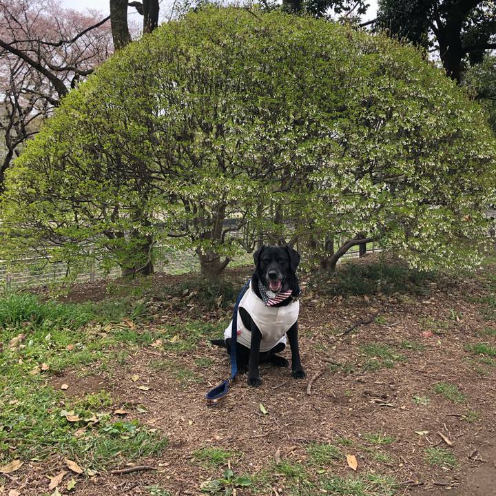 78128908 7741 4ec4 9090 9b400d98cc2e 1555214296798