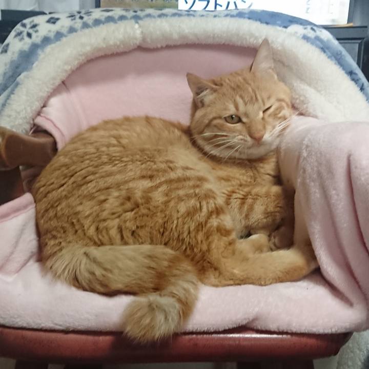 78128ba4 5cd5 4bd9 85a2 7b3acd86d895 1651323451606