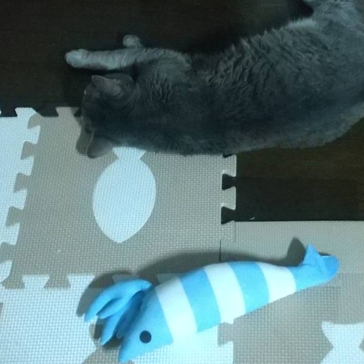 7812b349 f156 4ef3 a709 c19218d75d7a 1688995021850