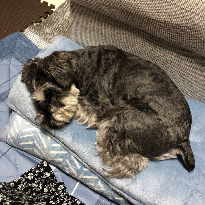 7812c730 0460 4172 8cef bbcad5b32923 1689244200169