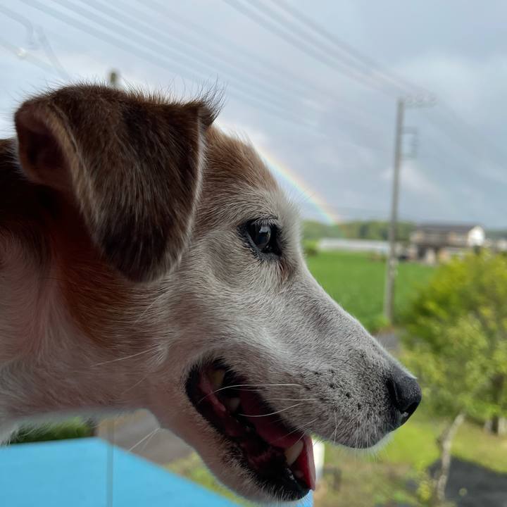 7812e4f0 b289 43ad 9c7a 2d75396bac41 1628637303551