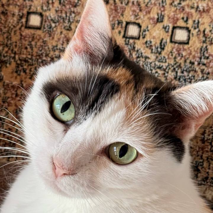 78134735 531f 454d 932c 57860e43fe8a 1756519177399