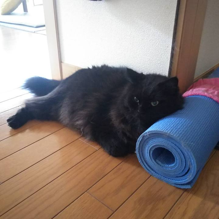 781349d4 0934 43f0 9cfd cf0df94203cb 1567724344987