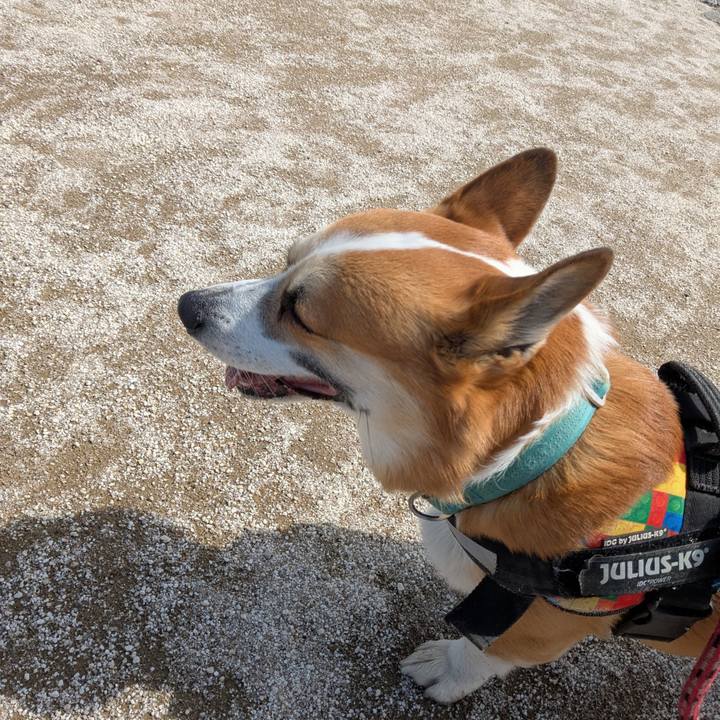 78138086 6fc0 4d43 be25 a9c04c8d9341 1743656749575