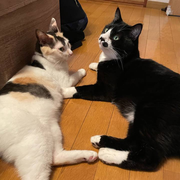 781392ad 85dc 44e4 9dc1 544578cf4868 1757559671481