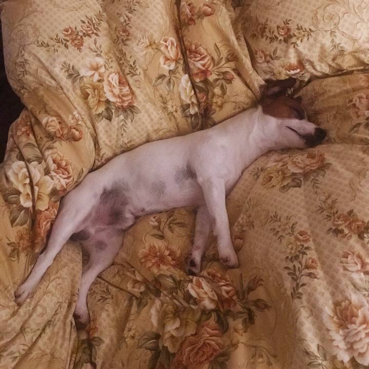 78139440 e833 4fc6 abe5 2925e9da1be4 1529359195755