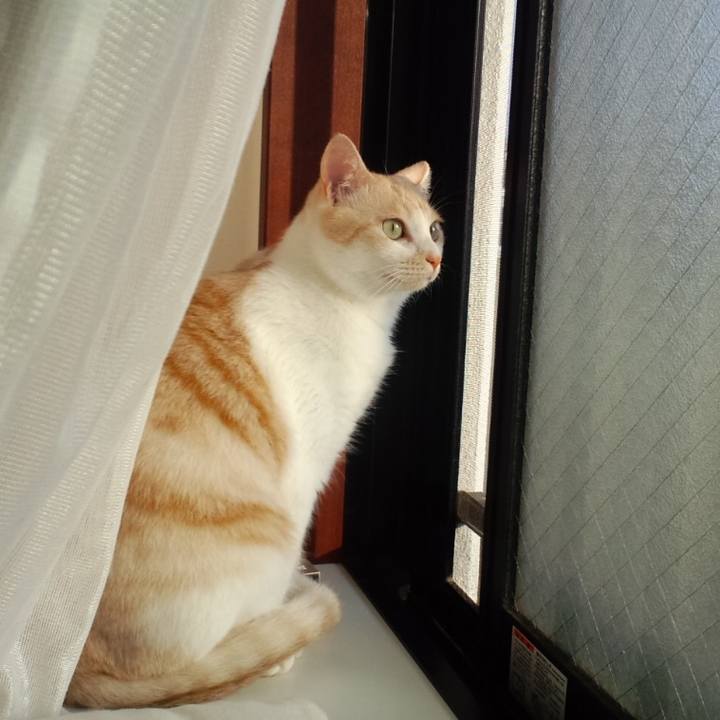 7813fda3 4a14 4088 bb13 17f2c7f4ea44 1693436906247