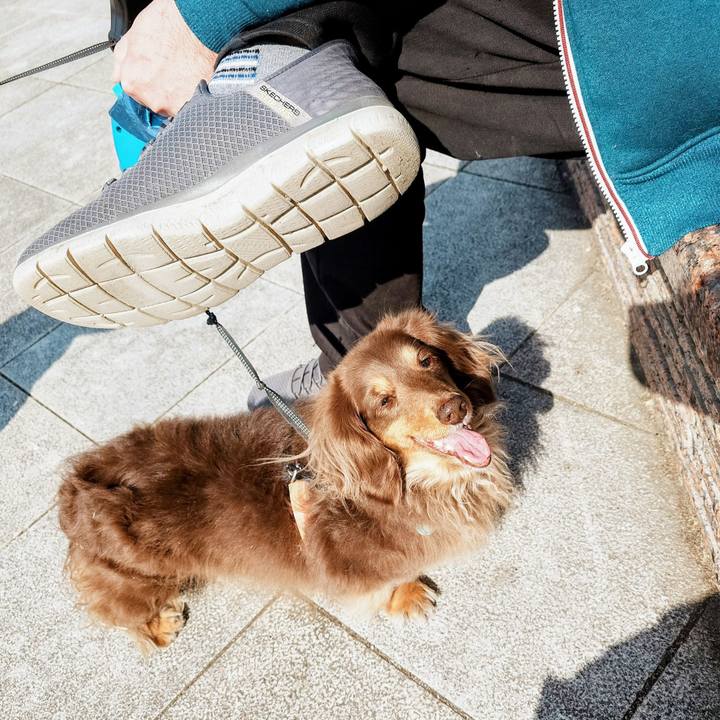 7813fedb 0a4f 4179 9d5b 98f632ff21e9 1774143162587