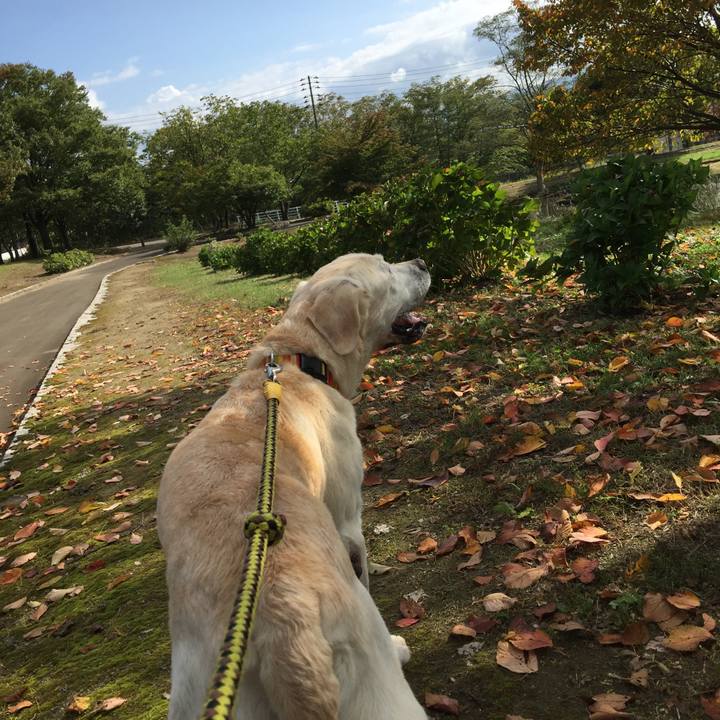 781413fd 08d8 40df 9660 2bd7bb18f8cc 1539047752853