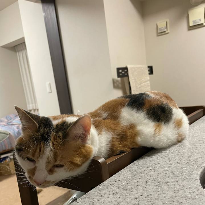 7814205f f51a 4564 8386 999098736161 1644762277881