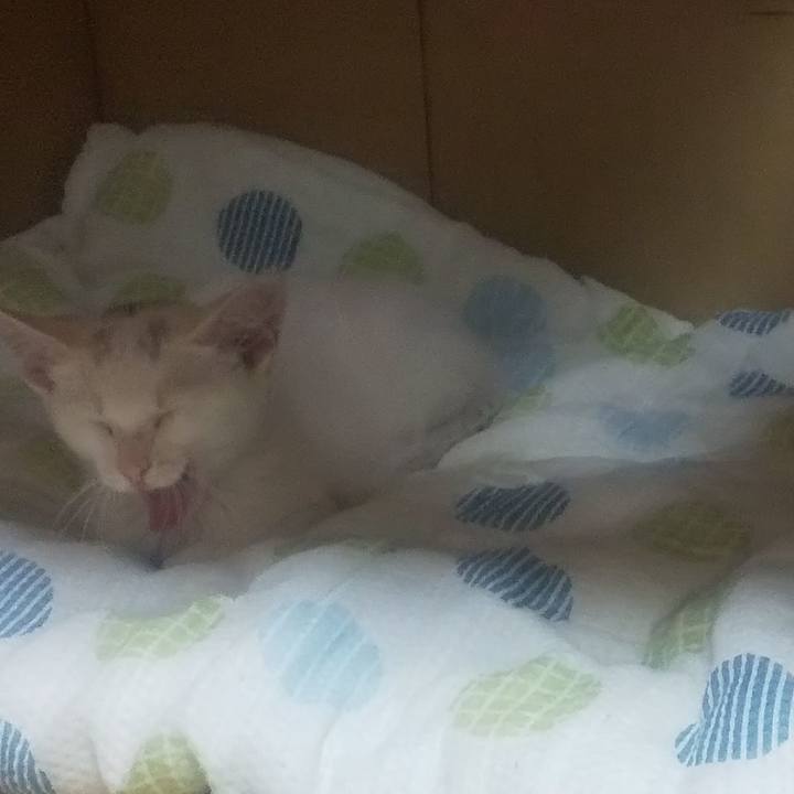 78143f5a 7518 4638 89da 918f3387fe3d 1689521081342