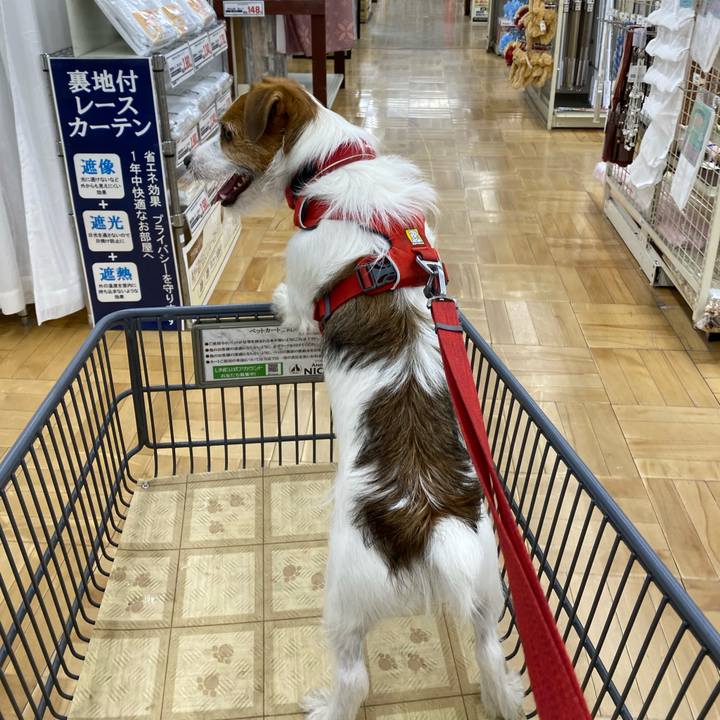 78145e49 965e 4aa3 99fa 970fd61bc3e3 1654339673740