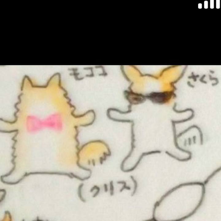 7814b23c e364 481a 9c45 b19336c446e8 1660278946246