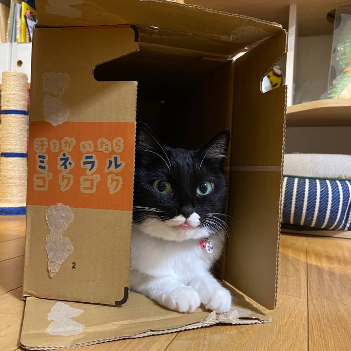 7814b5b3 f94f 44e8 abb6 7d94029a5cb1 1629546608613