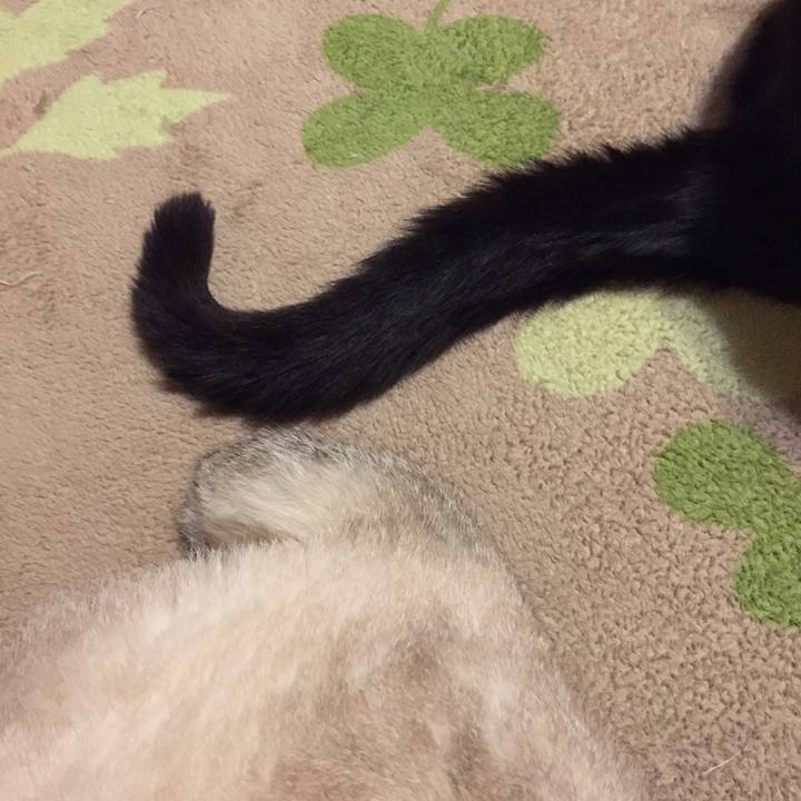 78151042 6859 49f6 b668 da31d7363ca4 1553426862724