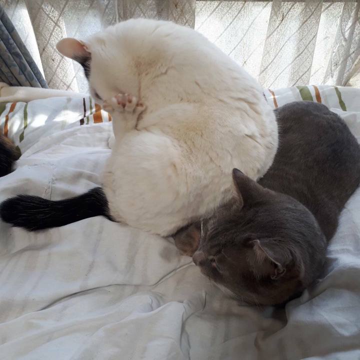 78152940 9af9 444a 9e4b 9f1badbe6240 1516622298543