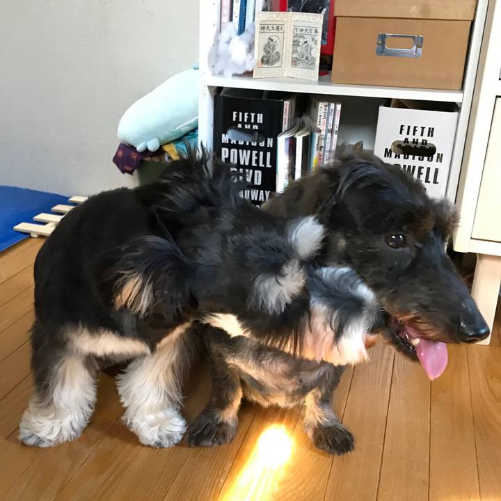 78157a84 2429 47a8 abfe 5063261ec140 1565452736107