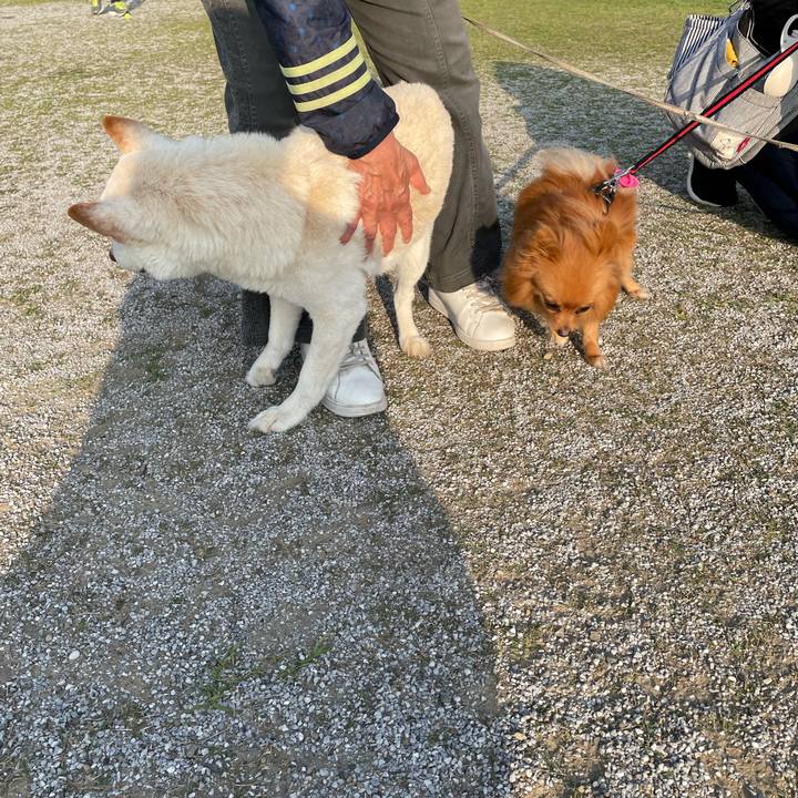 78159165 d9ec 4d93 ad17 85ea04d0339b 1649422573283