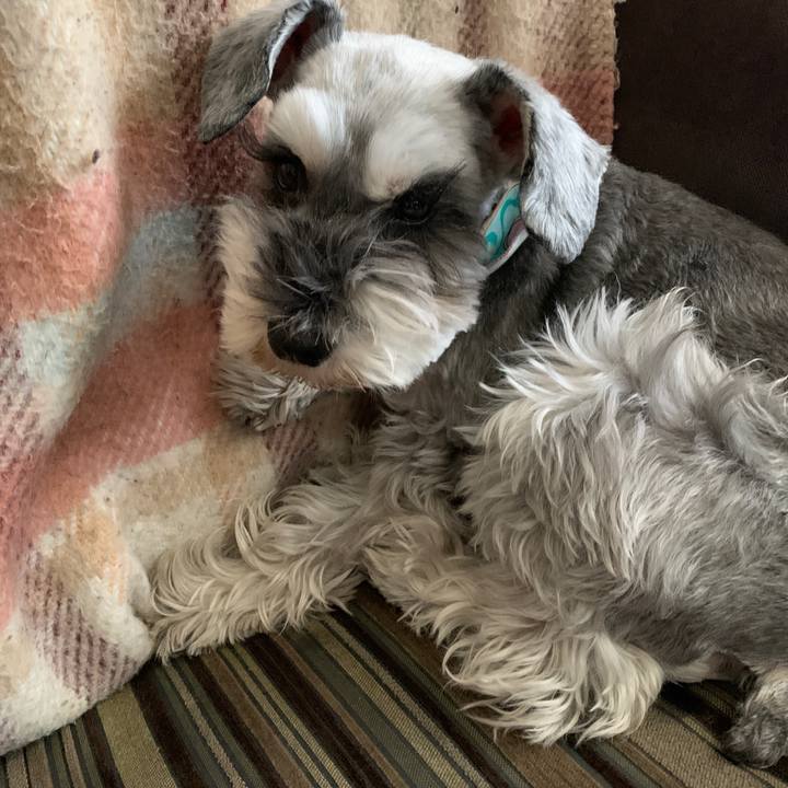 78159a35 3628 4432 b3e9 ca66a9289156 1612839667548