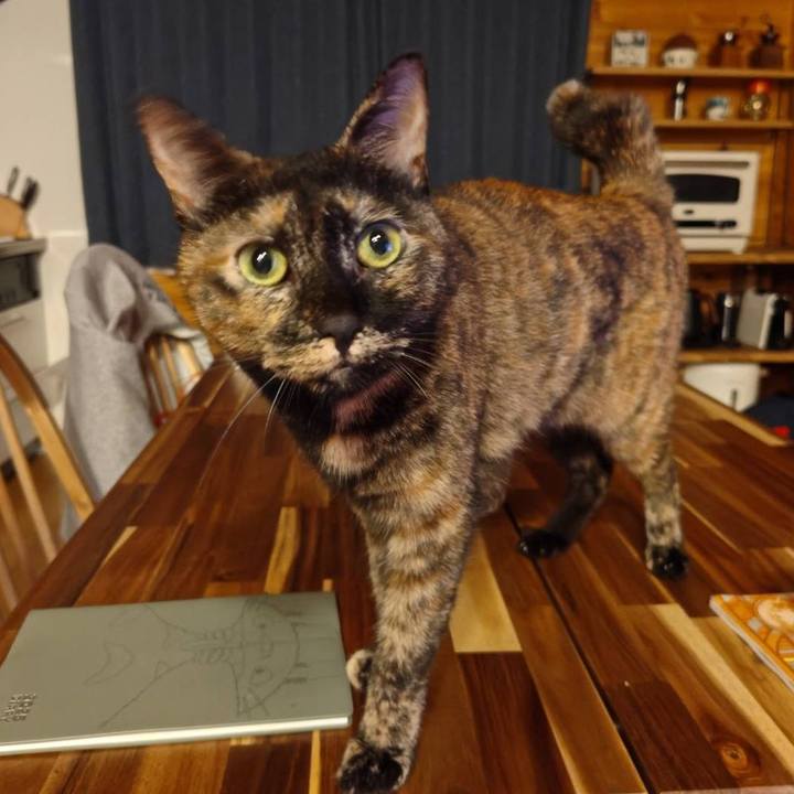 781614f6 7e21 46b5 a51f 7896fb669d77 1757936384916