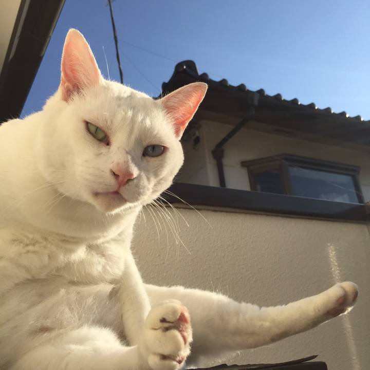 78166014 26f6 42de 9775 a6be46a4f3ac 1539989424905