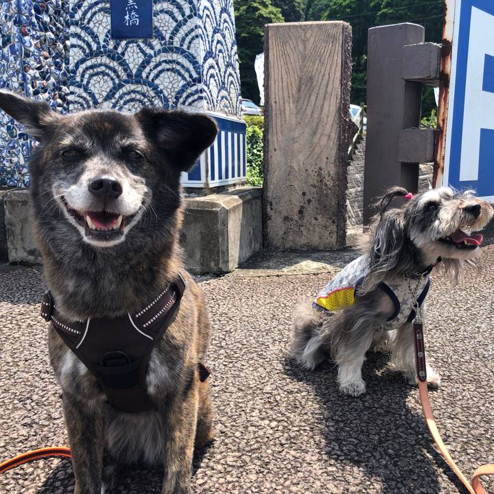 78167cf5 08b9 4cee 8e30 3230984f47f6 1628648225448