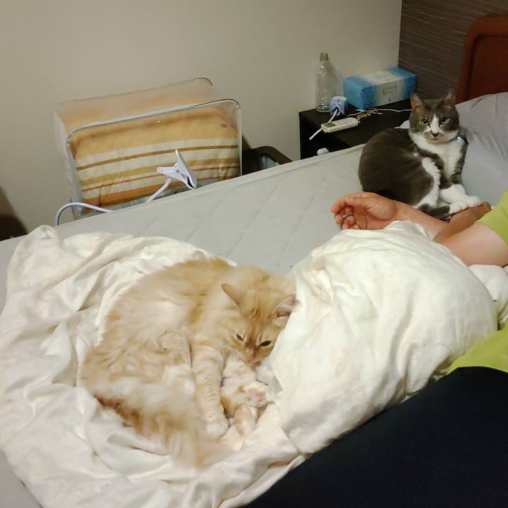 7816ad5a 2335 424a b8da fecf98a03317 1690378298006