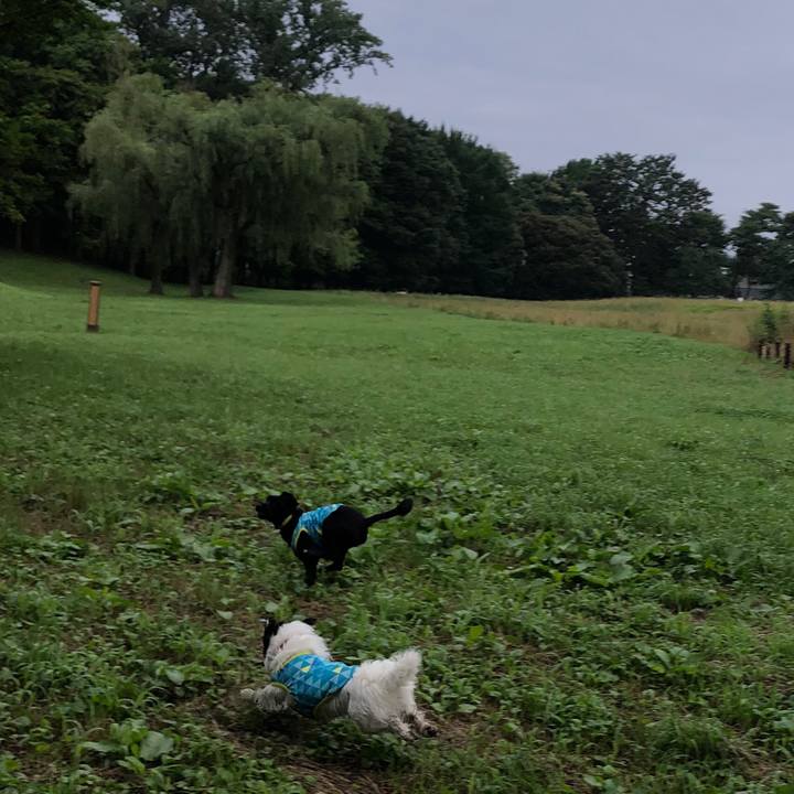 7816b078 0dfa 4902 85b4 672dc9d7ed0e 1562286135654