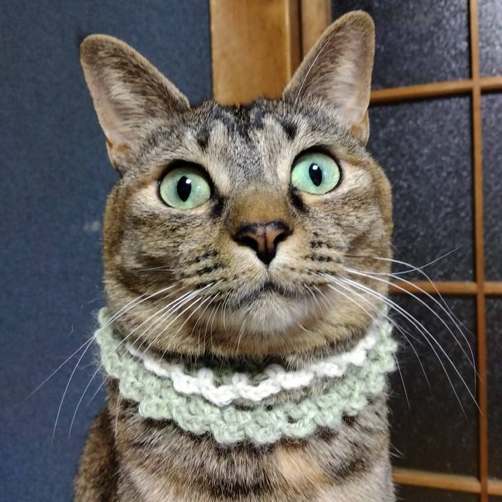 7816f958 db50 44ad bd6a 5b74f350d96a 1646776451323