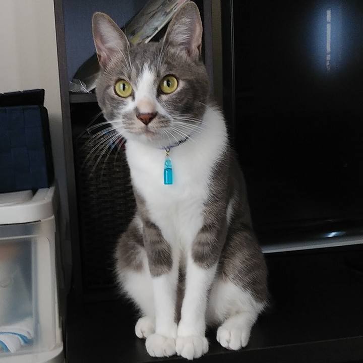 7816fb15 d397 4c20 8ebc c05b4aee6824 1595404497057