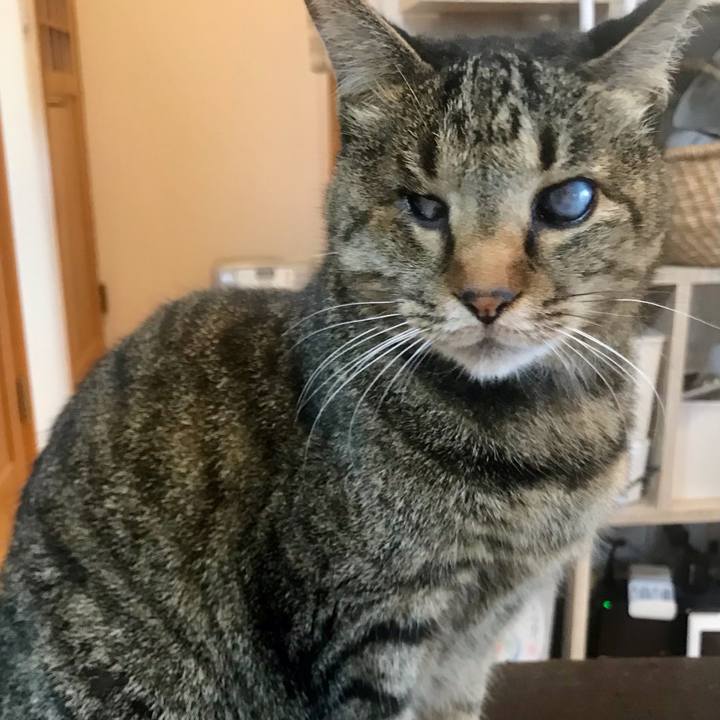 7816fe6a 7b31 4813 9cd4 db533fb212af 1609760850000