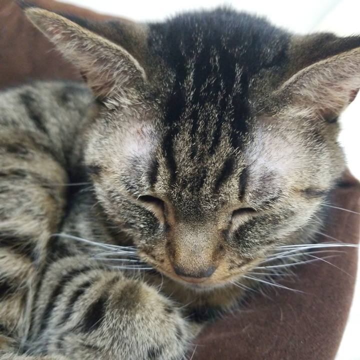 781717b1 da5e 4cfc b3e1 333337f3313a 1577223339847