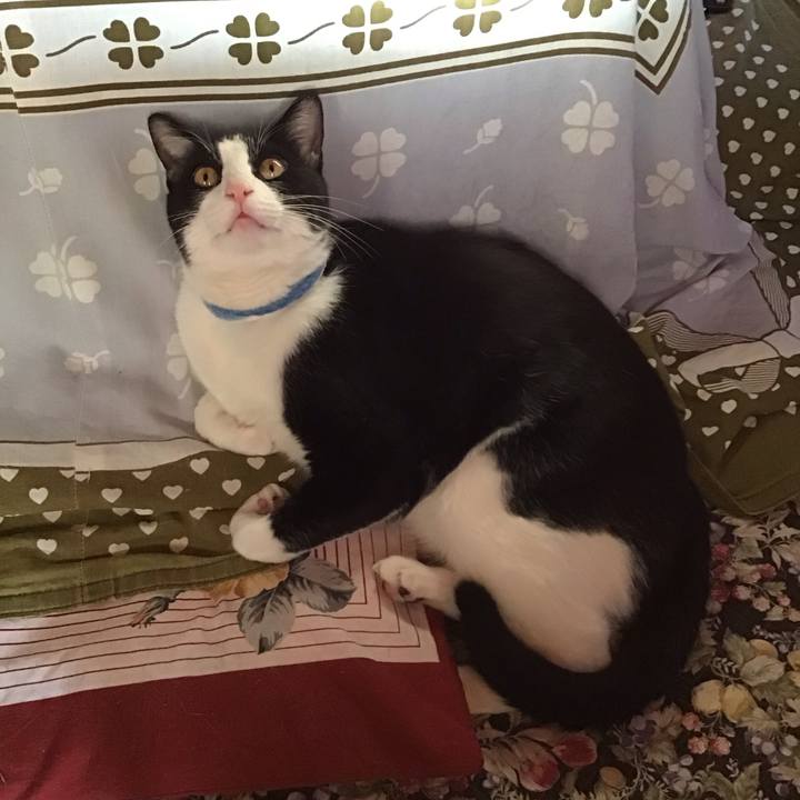 78174bc7 cc78 4095 8b80 b304f689bfbc 1680599055664