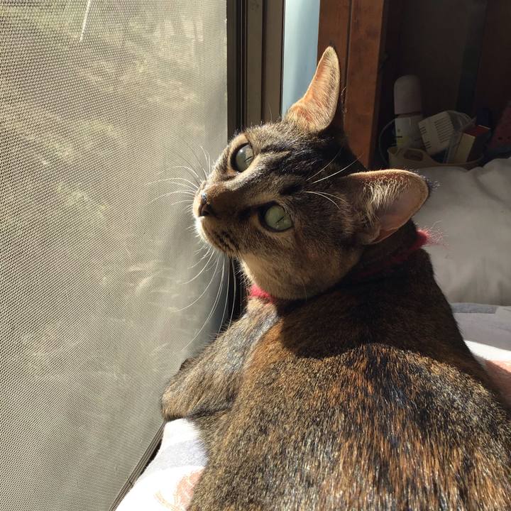 7817565d e1fb 48ba a327 8efa2adc1524 1601249230993