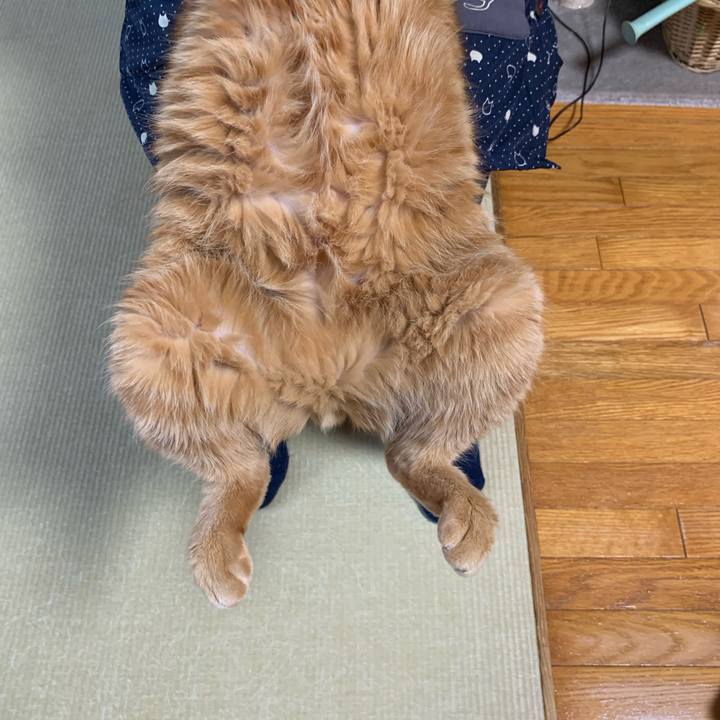 78176496 7104 41a4 b366 88e8c84380c8 1588158740448